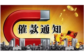 公安融资清欠服务