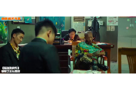 公安融资清欠服务